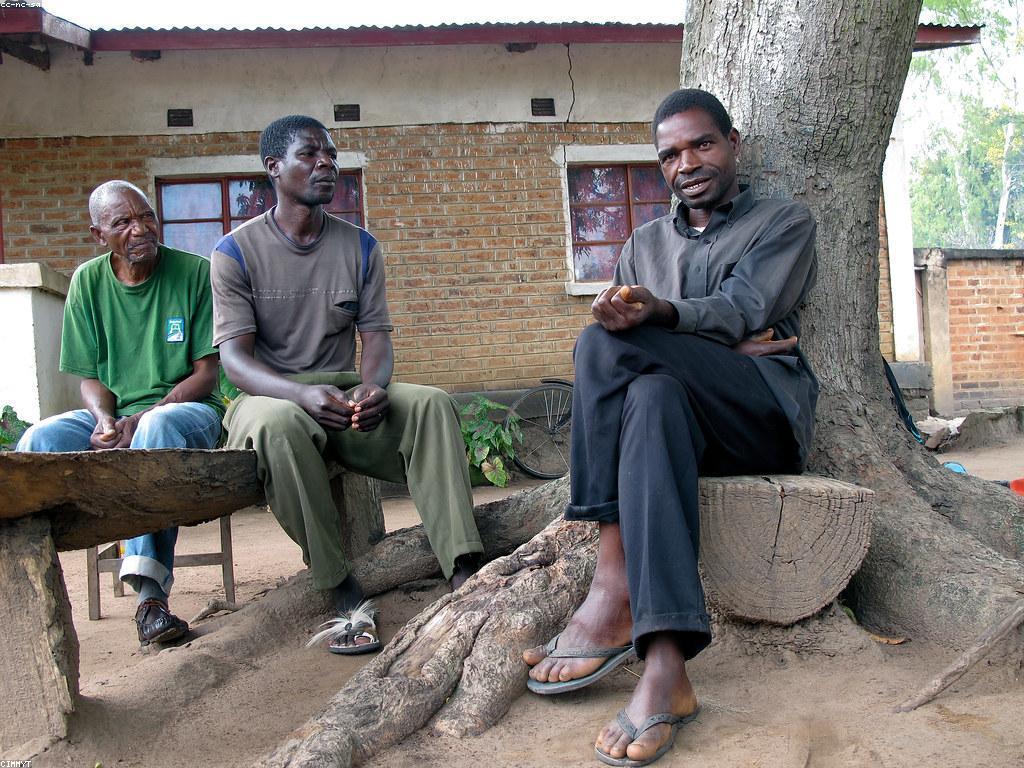 វិធីសាស្ត្រប្រសើរដើម្បីធ្វើតេស្តនិងការប្រជុំន