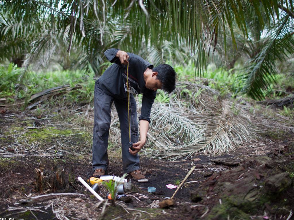 យុទ្ធសាស្ត្រកែលំអជីវិតសម្រាប់ការលូតលាស់ផ្ទាល់ខ្លួន