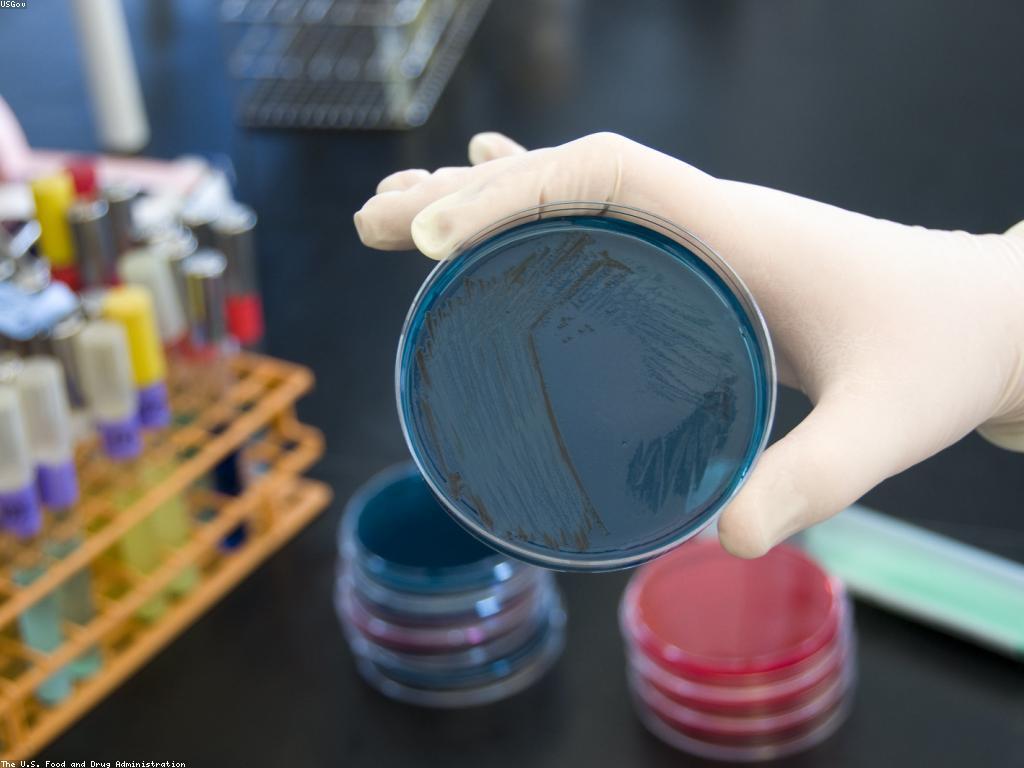 វិធីសាស្ត្រប្រសើរដើម្បីធ្វើតេស្តនិងការប្រជុំន