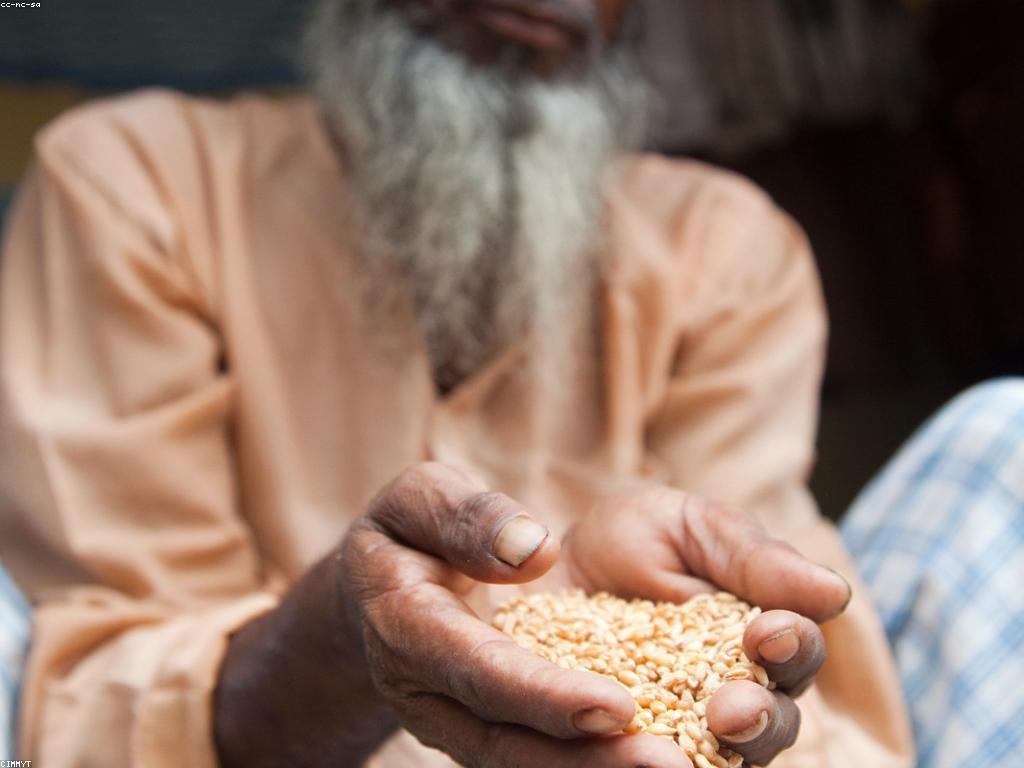 យុទ្ធសាស្ត្រប្រសើរឡើងជំនាញបច្ចេកវិទ្យា