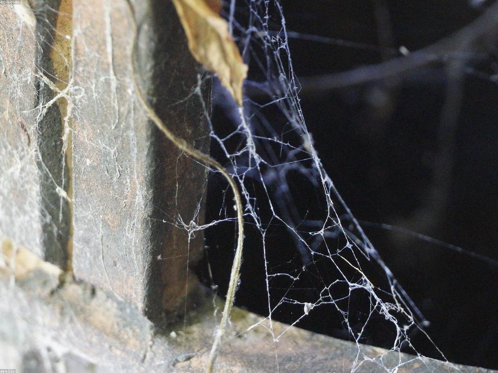 ការធ្វើតេស្តនិងការប្រជុំន: វិស័យថ្មីនៃការស្រាវជ្រាវ