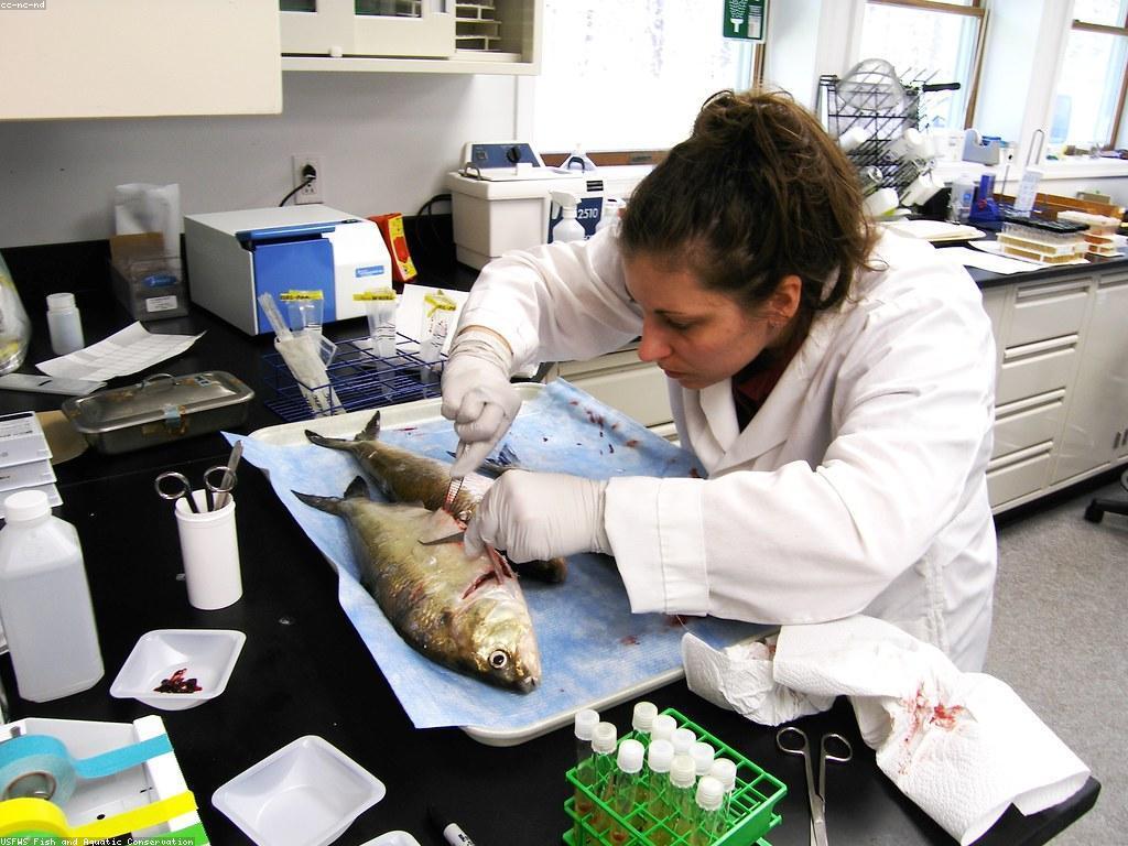 ការធ្វើតេស្តនិងការប្រជុំន: គន្លឹះសំខាន់សម្រាប់ការស្រាវជ្រាវ