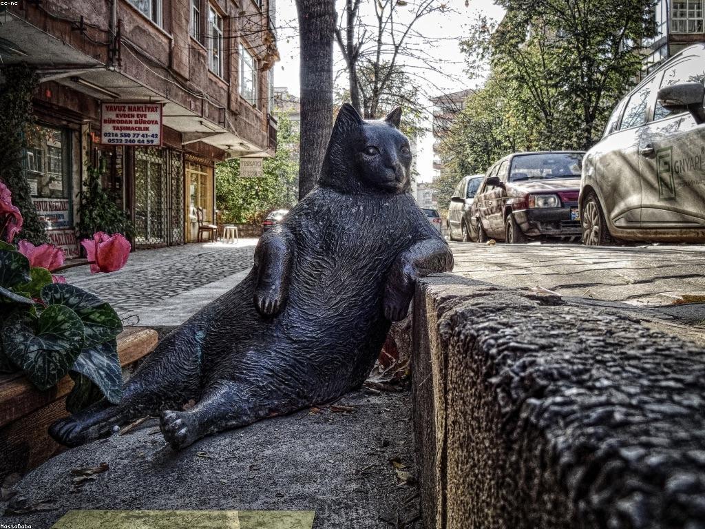 ការធ្វើតេស្តនិងការប្រជុំន