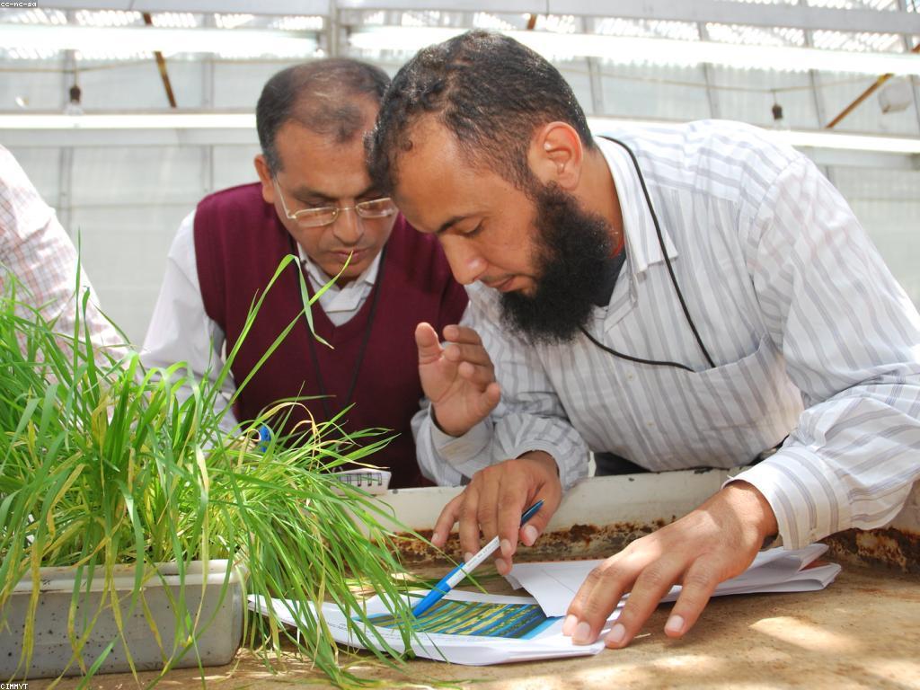 ការធ្វើតេស្ត និងការប្រជុំន៖ វិធីសាស្ត្រពិសេសសម្រាប់ការធ្វើតេស្តប្រសើរ