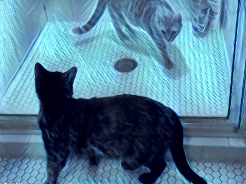 វិធីសាស្ត្រប្រសើរដើម្បីការធ្វើតេស្តនិងការប្រជុំន